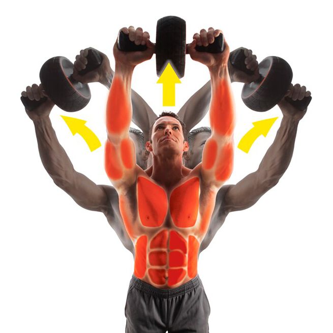 iron-gym-speed-ab-iron-gym_3